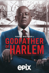 : Godfather of Harlem Staffel 01 2019 German 1080p microHD x264 - MBATT
