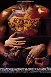 : Mandingo 1975 German 720p BluRay x264-SpiCy