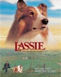 : Lassie - Freunde für's Leben 1994 German 1080p AC3 microHD x264 - RAIST