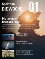 : Spektrum Die Woche Magazin No 01 vom 06  Januar 2022
