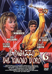 : Karate Warrior VI 1993 German AC3 DVDRip x264-RobertDeNiro