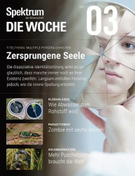 : Spektrum Die Woche Magazin No 03 vom 20  Januar 2022
