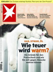 :  Der Stern Nachrichtenmagazin No 06 vom 03 Februar 2022