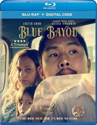 : Blue Bayou 2021 German DL LD 720p BluRay x265 - FSX