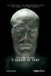 : 5 Senses of Fear German 2013 AC3 DL BDRip x264-THEORY