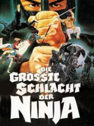 : Die größte Schlacht der Ninja 1983 German 800p AC3 microHD x264 - RAIST