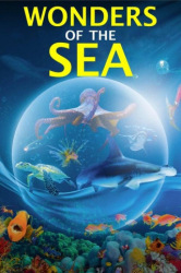 : Wonders of the Sea 2017 German Doku Dl 1080p BluRay Avc-Untavc