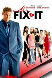 : Mr Fix It 2006 German 1080p Hdtv x264-TiPtoP