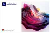 : Adobe Audition 2022 v22.2.0.61 (x64)