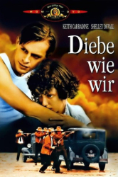 : Diebe wie wir 1974 German Dl 1080p BluRay Avc-SaviOurhd