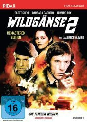 : Wildgänse II 1985 German 1040p AC3 microHD x264 - RAIST