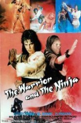 : The Warrior and the Ninja 1985 German 800p AC3 microHD x264 - RAIST