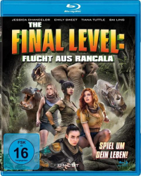 : The Final Level 2019 German Dl Dts 1080p BluRay x264-Mba