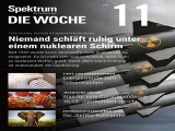 :  Spektrum Die Woche Magazin No 11 2022