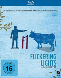 : Flickering Lights 2000 German 1080p BluRay x264-Doucement