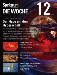 : Spektrum der Wissenschaft die Woche No 12 2022
