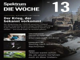 :  Spektrum der Wissenschaft Die Woche Magazin No 13 2022