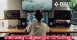 : Steinberg Cubase Pro 12 Content