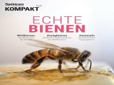 :  Spektrum Kompakt Magazin April No 13 2022