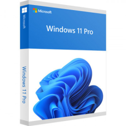 : Microsoft Windows 11 Pro 21H2 Build 22000.593 (x64)