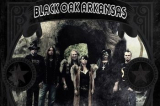 : Black Oak Arkansas - Sammlung (13 Alben) (1971-2019)