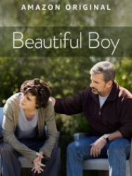 : Beautiful Boy 2018 German 1040p AC3 microHD x264 - RAIST