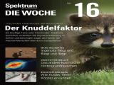 :  Spektrum der Wissenschaft Die Woche Magazin April No 16 2022