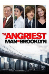 : The Angriest Man in Brooklyn 2014 German Dl Ac3 1080p BluRay x265-FuN