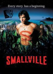 : Smallville Staffel 1 2001 German AC3 microHD x264 - RAIST