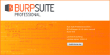 : Burp Suite Professional 2022.3.7