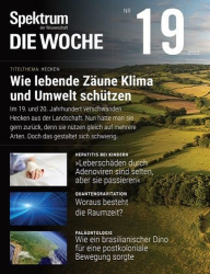 : Spektrum der Wissenschaft Die Woche Magazin Mai No 19 2022
