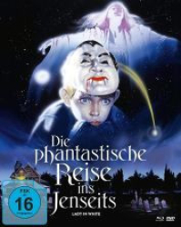 : Die phantastische Reise in's Jenseits DC 1988 German 1040p AC3 microHD x264 - RAIST
