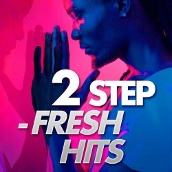 : 2 Step - Fresh Hits (2022)