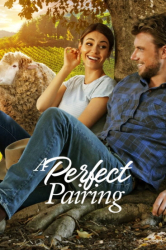 : A Perfect Pairing 2022 German Dl 720p Web x264-WvF