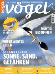 : VÖGEL - Magazin für Vogelbeobachtung Nr 04 2022