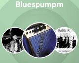 : Bluespumpm - Sammlung (14 Alben) (1980-2006)