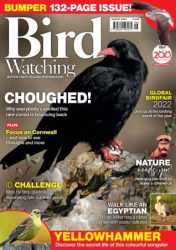 : Bird Watching UK - August 2022