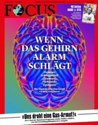 : Focus Nachrichtenmagazin No 28 vom 09  Juli 2022
