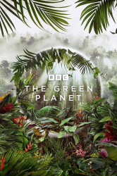 : Unser gruener Planet S01E03 German Dl Dtsd 2160p Uhd BluRay x265-Uhdtv