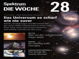 :  Spektrum der Wissenschaft Die Woche Magazin Juli No 28 2022