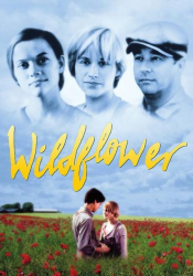 : Wilde Alice 1991 German Dl Fs 1080p WebHd h264-DunghiLl