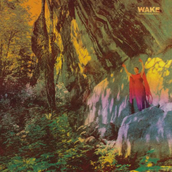 : Wake - Thought Form Descent (2022)