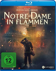 : Notre-Dame in Flammen 2022 German Dl 720p Web H264-ZeroTwo