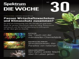 :  Spektrum der Wissenschaft Die Woche Magazin Juli No 30 2022