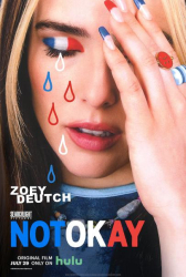 : Not Okay 202 German Dl 1080p Web h264-Fendt