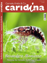 : Caridina Magazin Nr 02 2022