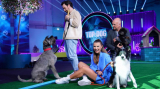 : Top Dog Germany Der beste Hund Deutschlands S02E06 German 720p Web x264-Atax