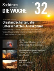 : Spektrum der Wissenschaft Die Woche No 32 vom 10  August 2022
