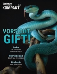 : Spektrum der Wissenschaft Kompakt August No 32 2022
