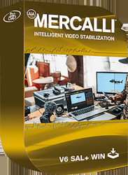 : proDAD Mercalli V6 SAL v6.0.619.2